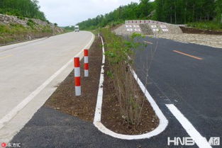 黑土地上勁吹 綠色風 黑河綠色農業(yè)發(fā)展見聞
