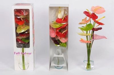 顏值與內涵并存——GET這份“崇明版”新年伴手禮清單，讓禮品花卉傳遞新春祝福