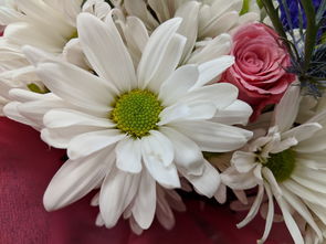 花語(yǔ)傳情 從自然之美到浪漫禮品的花卉銷售藝術(shù)